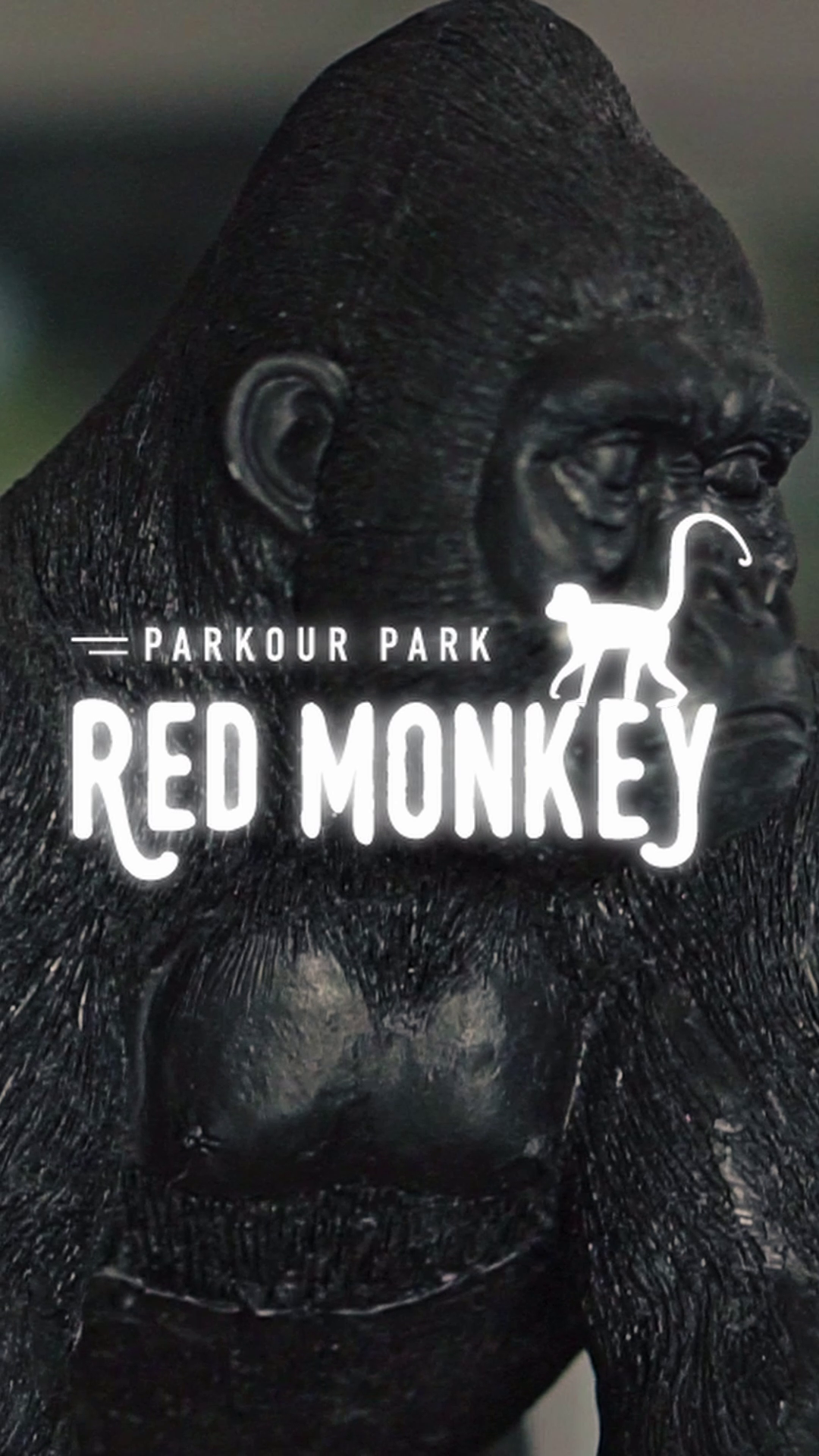 Salle de sport Red Monkey Toulouse Teaser